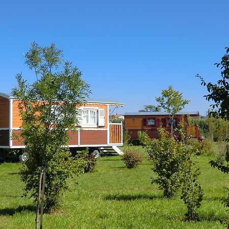 Les Roulottes-Gites De La Ferme De L'Autruche Dromoise Livron-sur-Drôme Exteriér fotografie